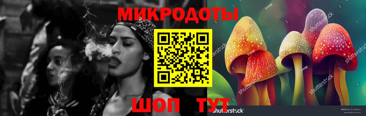 Зеленокумск  Галлюциногенные грибы Cubensis  Галлюциногенные грибы прущие грибы  Вход с VPN 